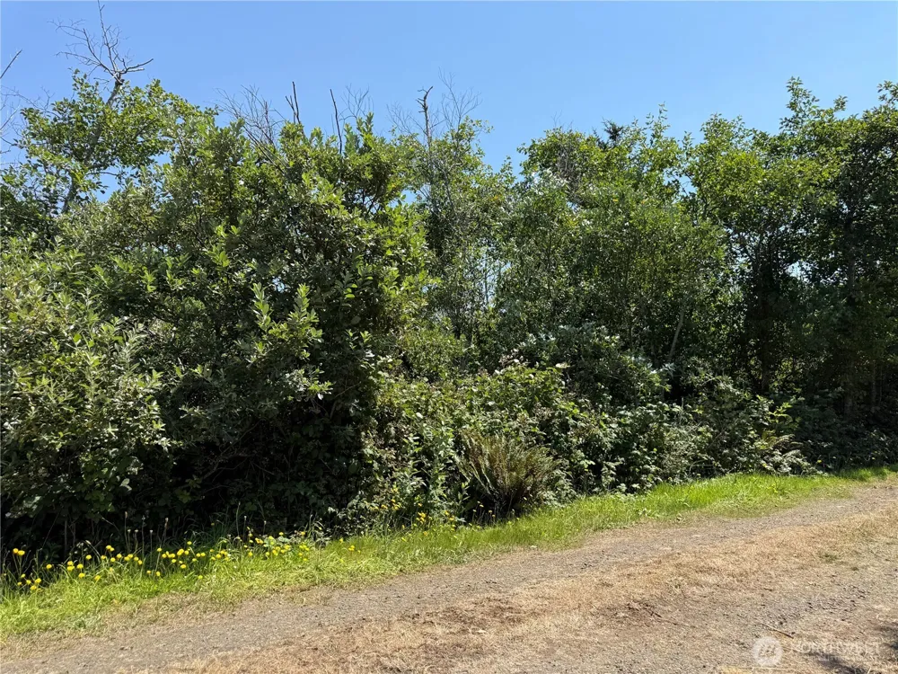 1 xxx Larkin Grayland, WA 98547