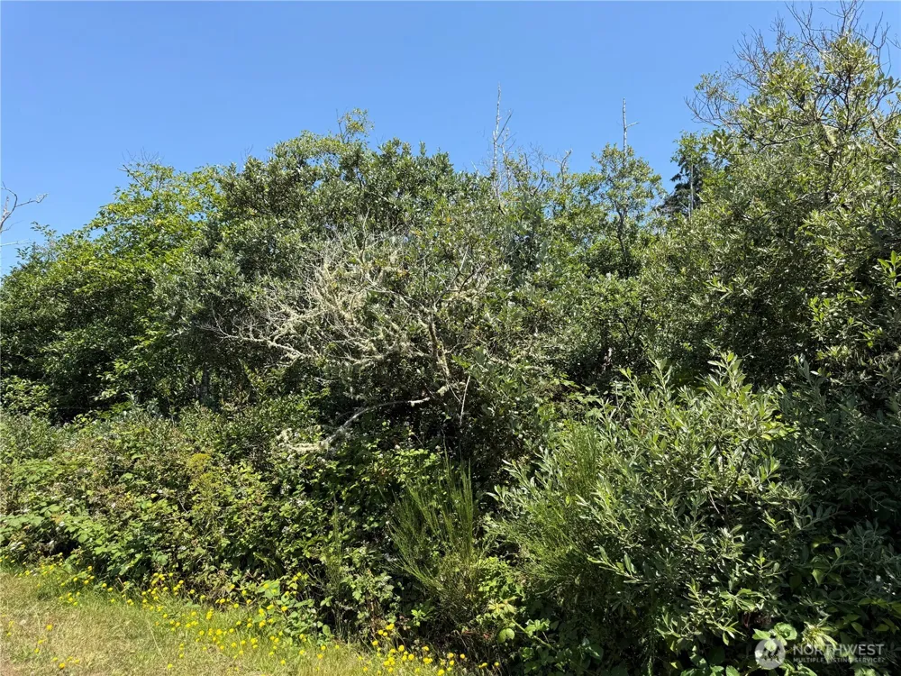 1 xxx Larkin Grayland, WA 98547