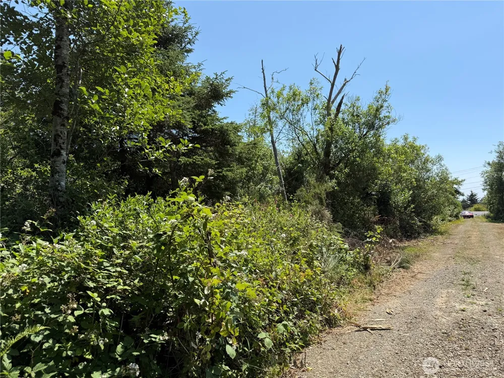1 xxx Larkin Grayland, WA 98547