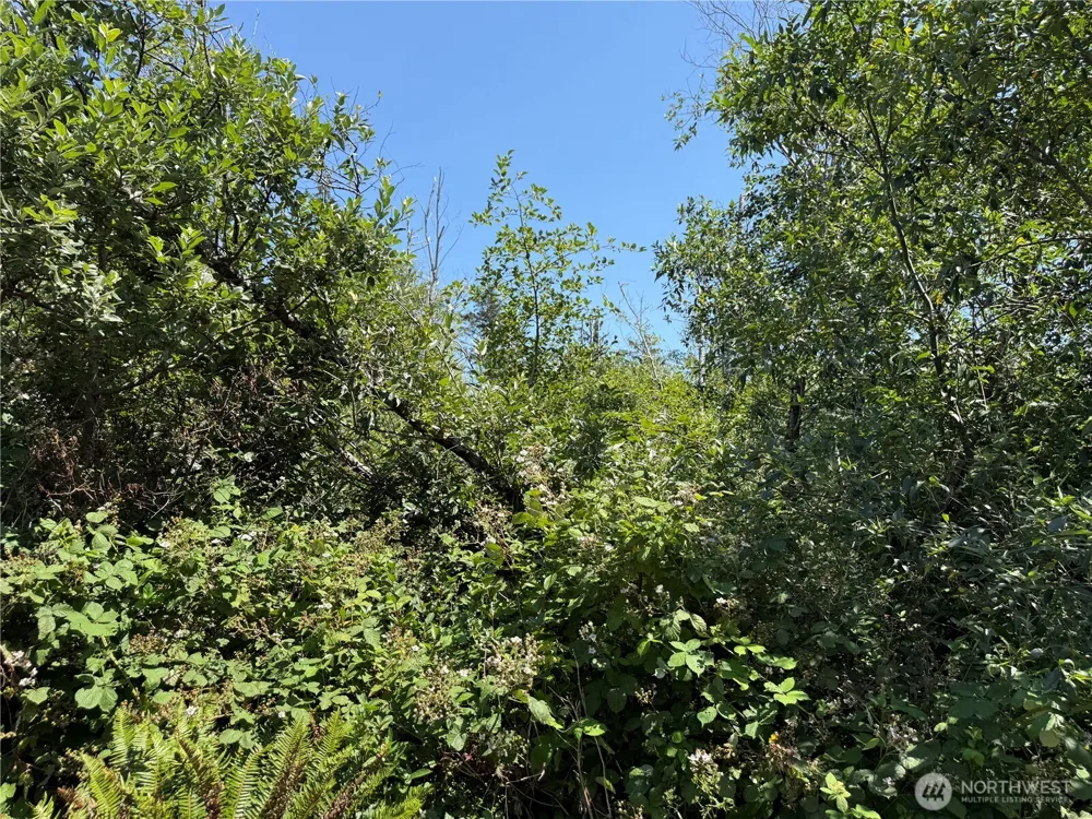 1 xxx Larkin Grayland, WA 98547