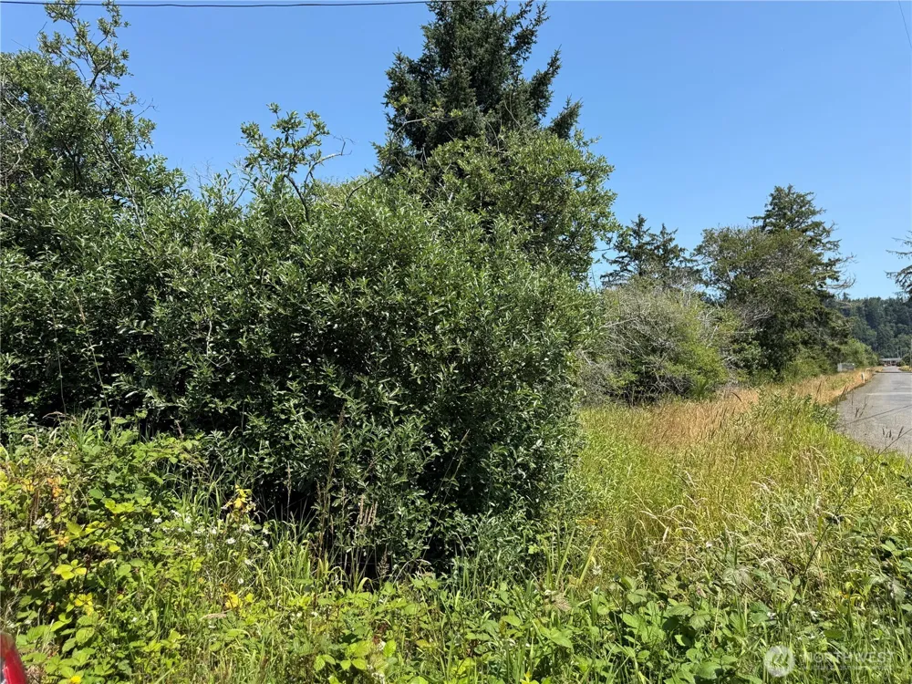 1 xxx Larkin Grayland, WA 98547