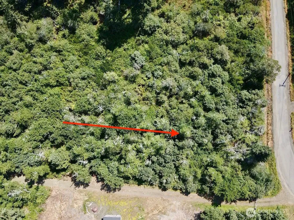 1 xxx Larkin Grayland, WA 98547