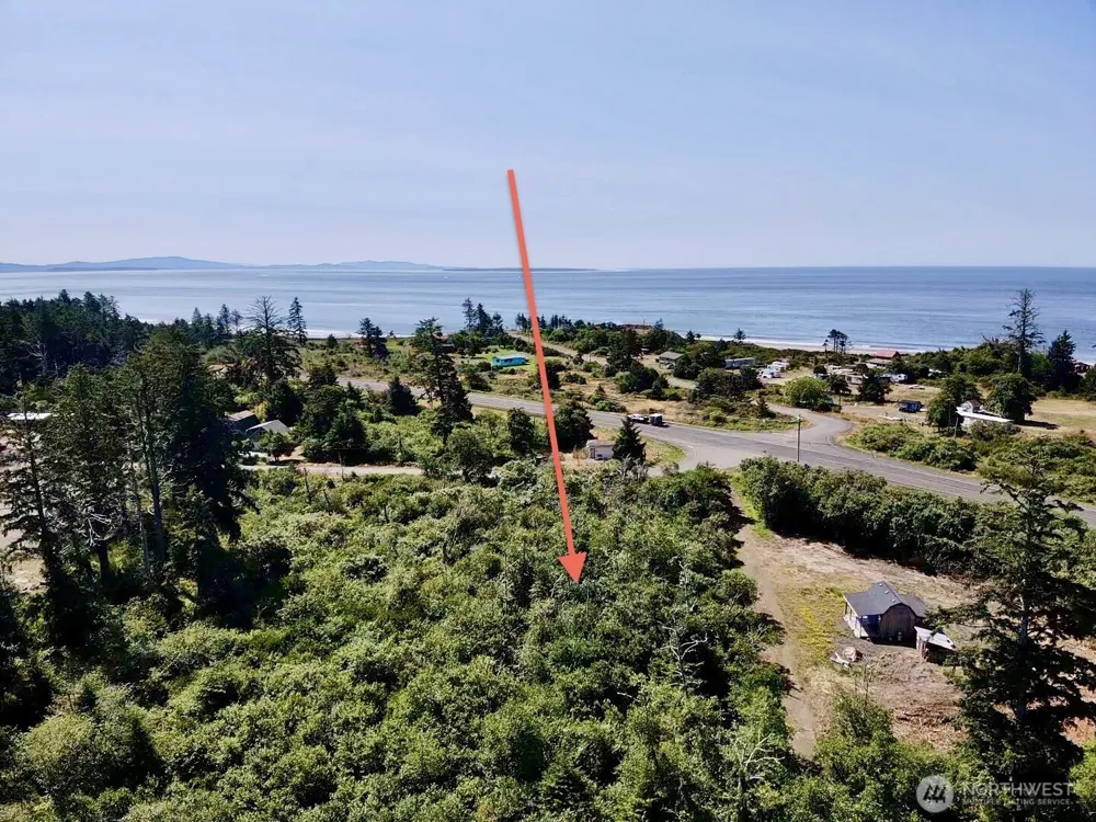 1 xxx Larkin Grayland, WA 98547