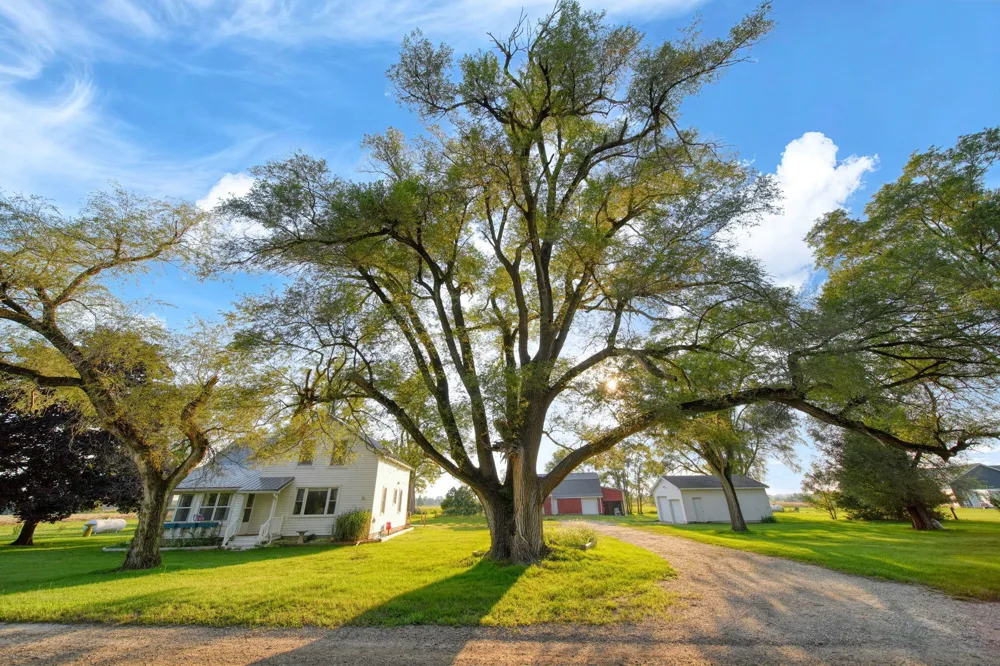 11632 Wheaton Road Cement City, MI 49233