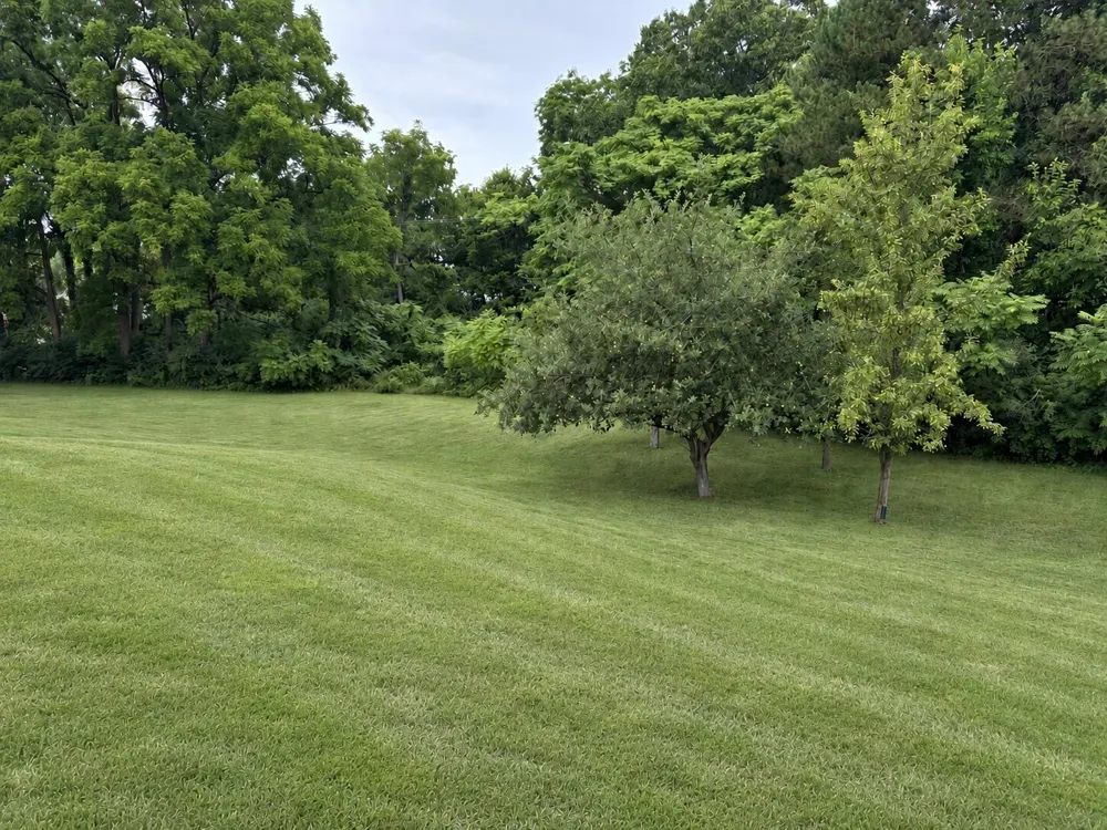 5062 Tyrone Street Ypsilanti, MI 48197