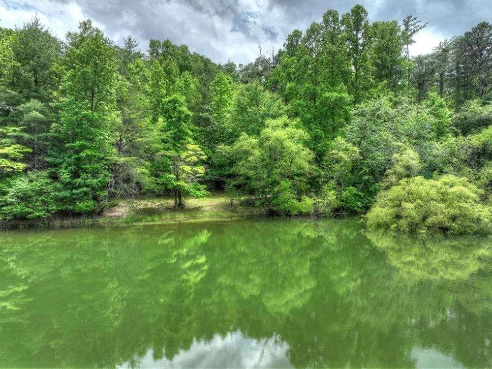 102 Captains Cove Blairsville, GA 30512