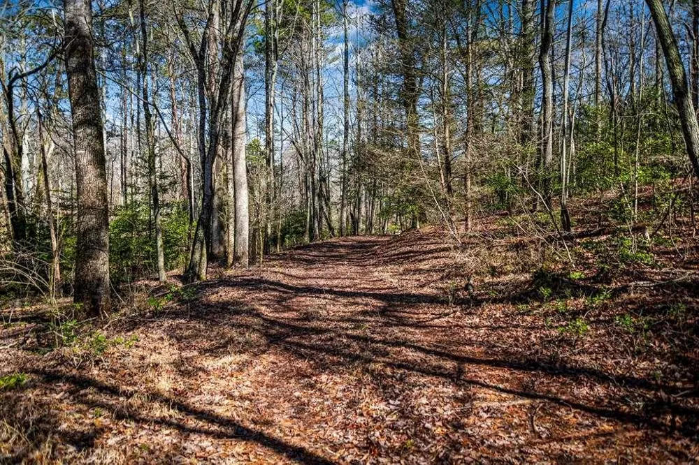 102 Captains Cove Blairsville, GA 30512