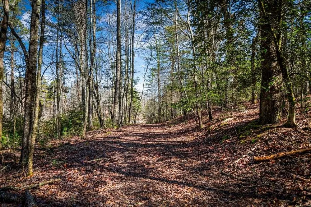 102 Captains Cove Blairsville, GA 30512