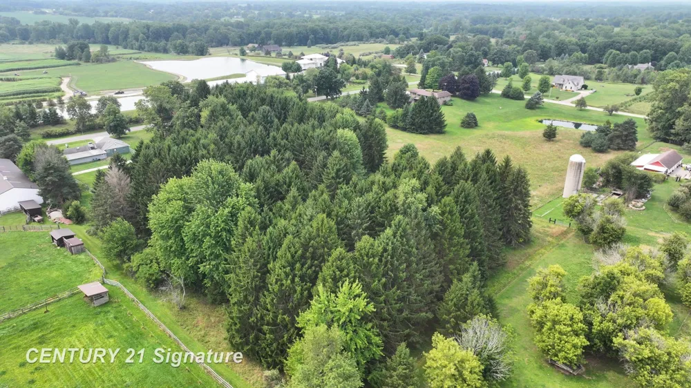 2995 Lyons Road Caledonia Charter Township, MI 48867