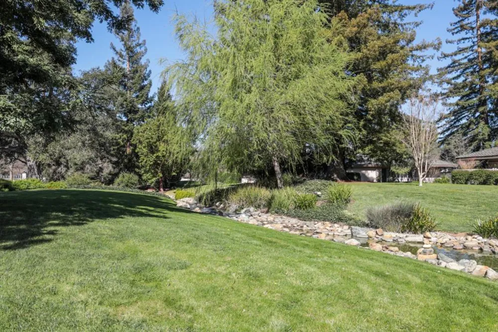 6 Bay Tree Los Altos, CA 94022