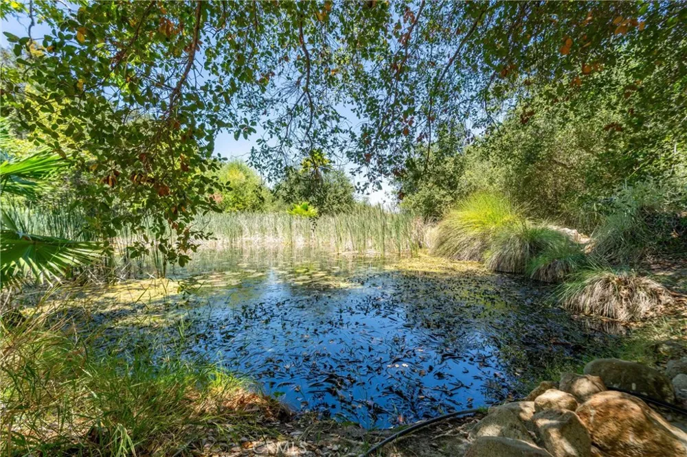 39325 Highway 79 Aguanga, CA 92536
