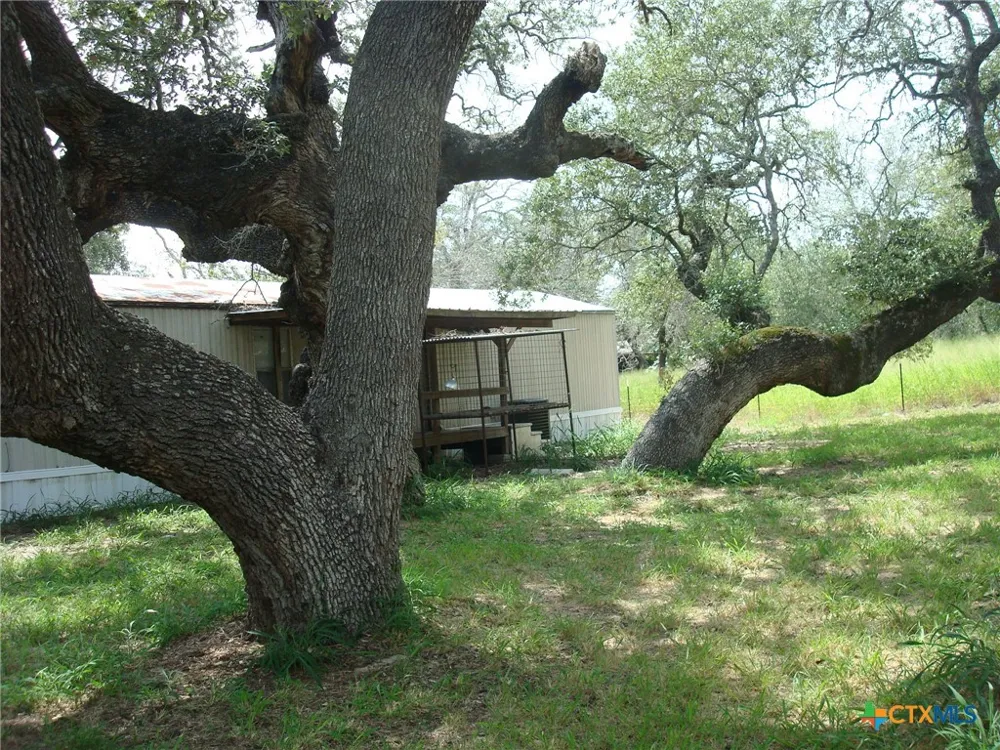 118 Country Oaks Drive La Vernia, TX 78121