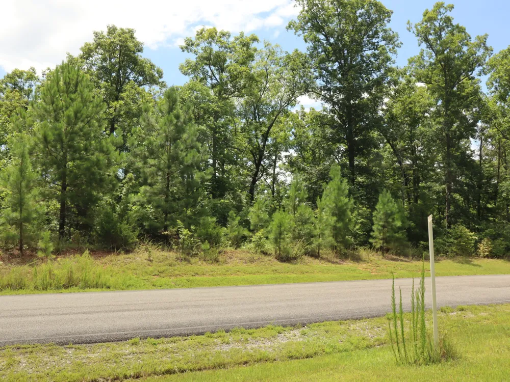 0 Coves Pointe Rd W Sparta, TN 38583