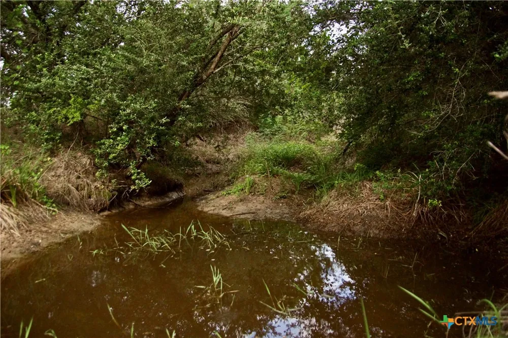 FM 622 Goliad, TX 77963