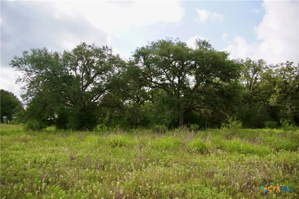 FM 622 Goliad, TX 77963