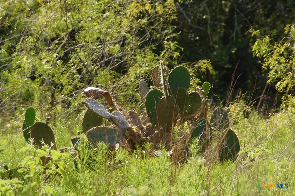FM 622 Goliad, TX 77963