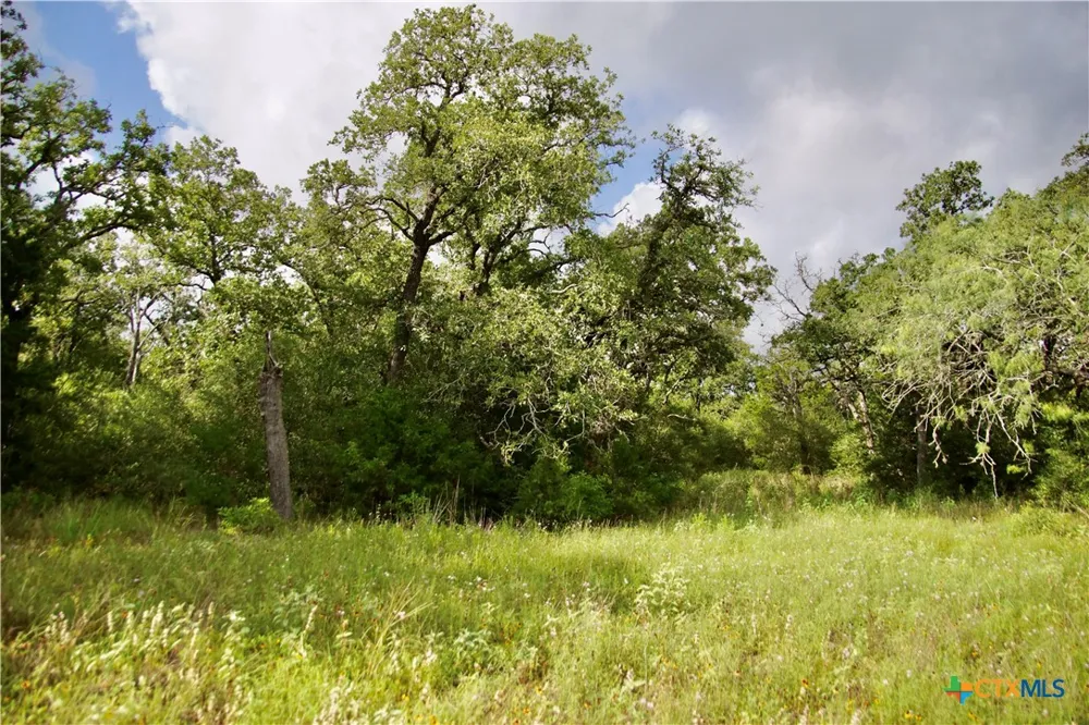 FM 622 Goliad, TX 77963