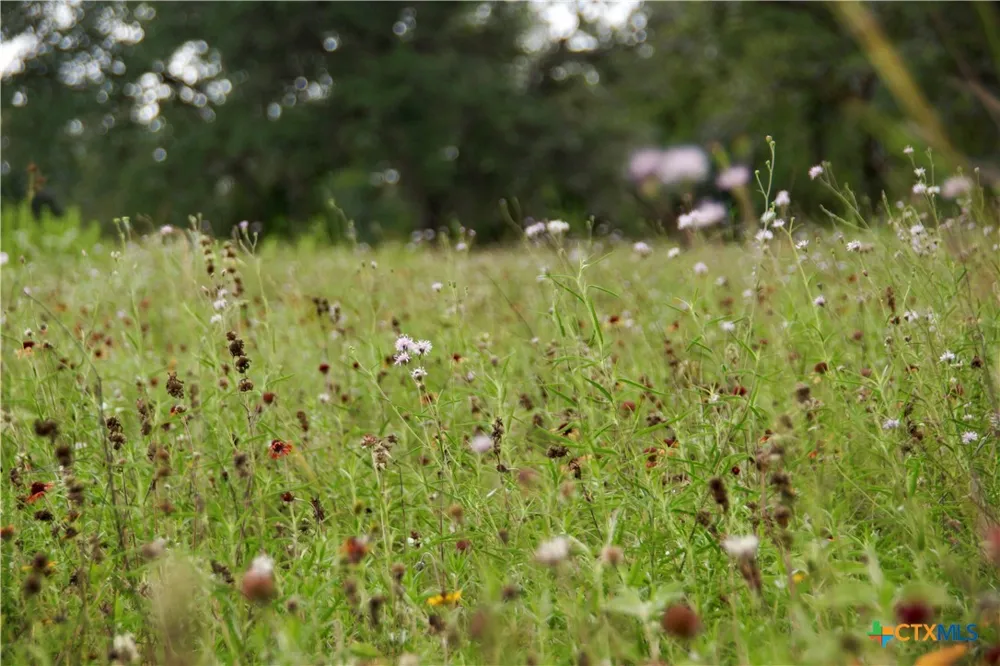 FM 622 Goliad, TX 77963