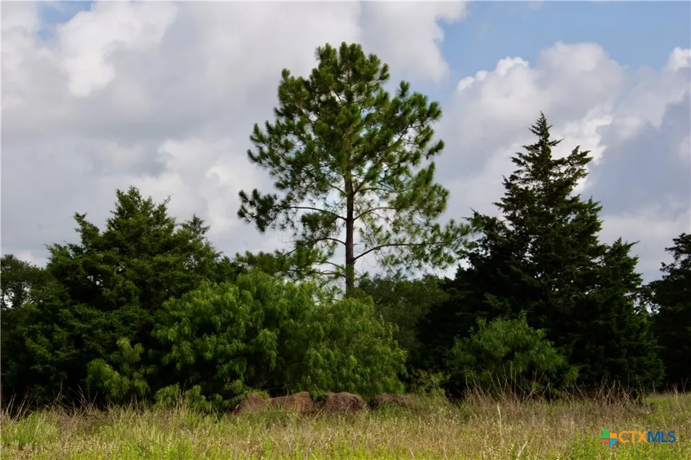 FM 622 Goliad, TX 77963