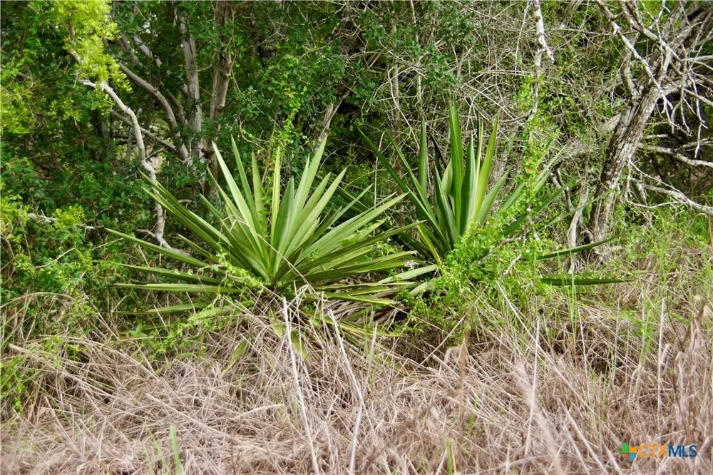 FM 622 Goliad, TX 77963