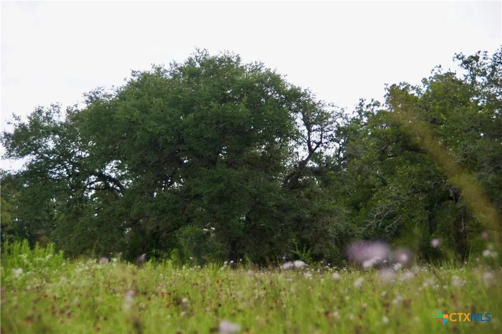 FM 622 Goliad, TX 77963