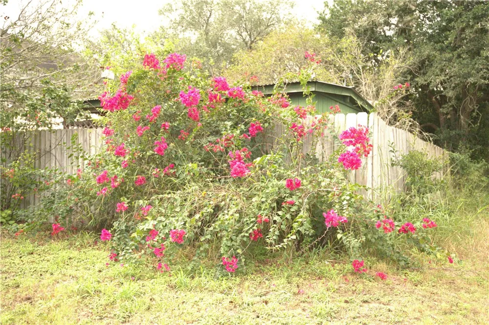 711 E Lott Street Beeville, TX 78102