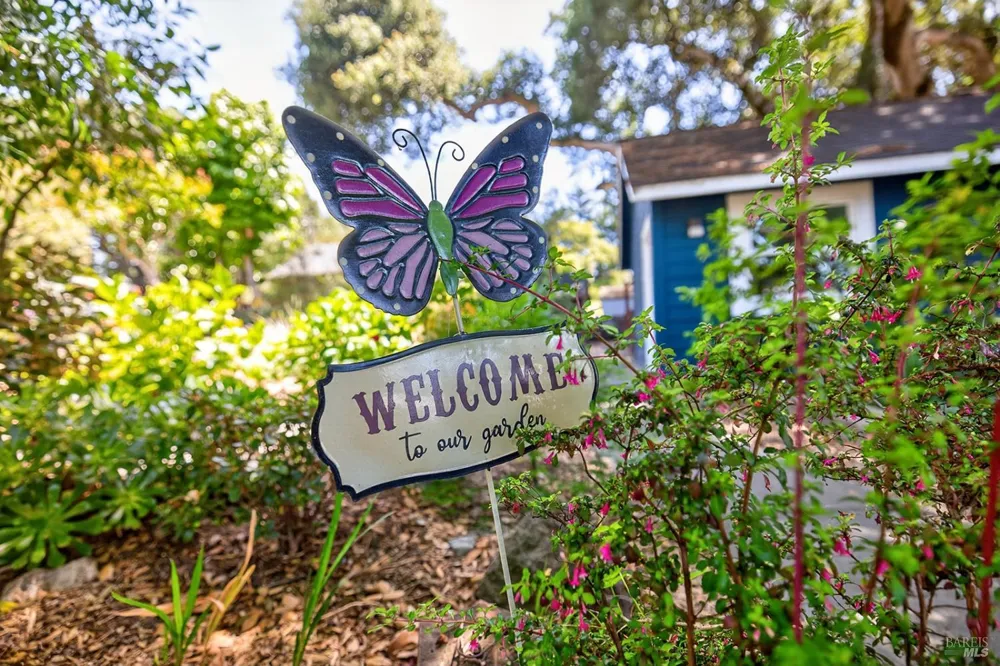 442 Marshall Avenue Petaluma, CA 94952