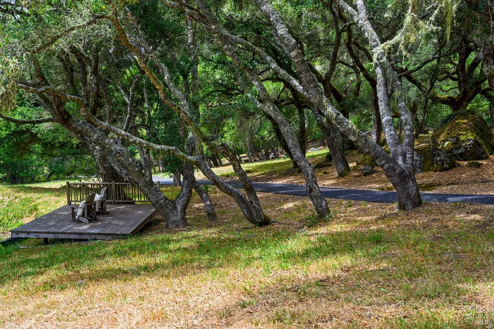 2585 Marra Road Occidental, CA 95465