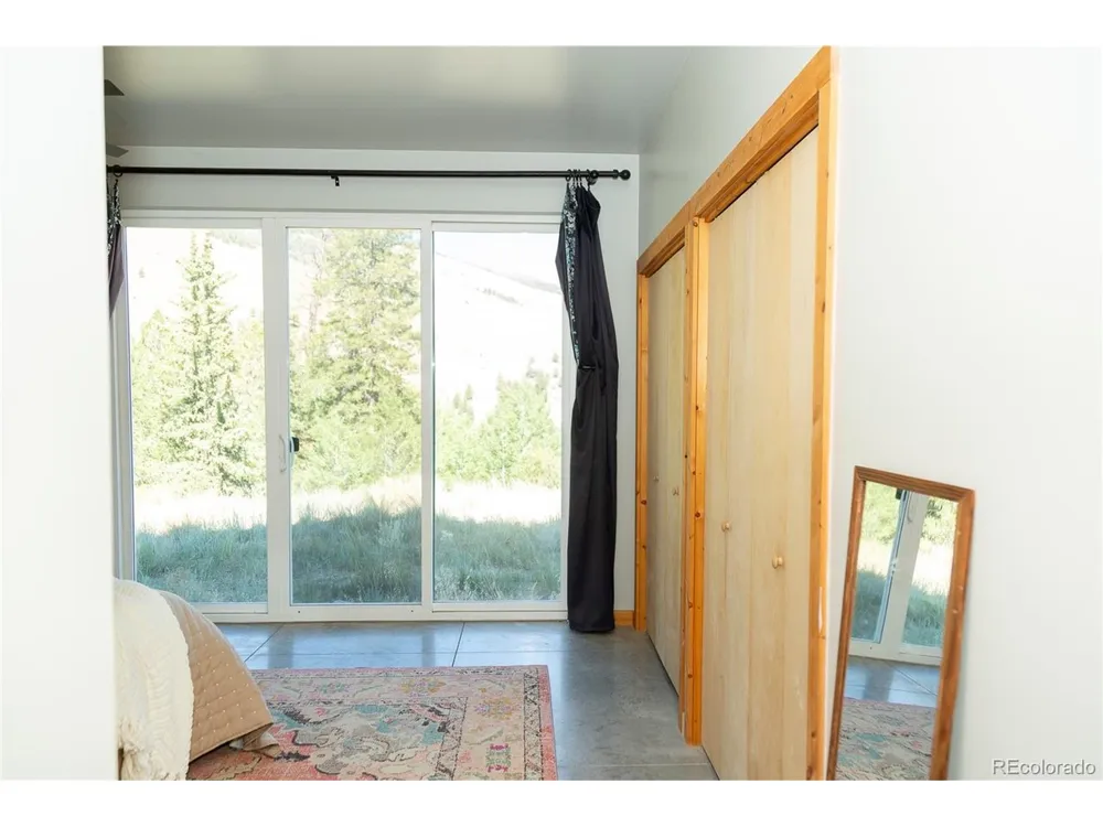 301 Rue La Fong Lane Creede, CO 81130