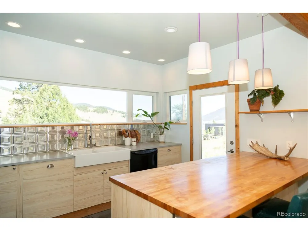 301 Rue La Fong Lane Creede, CO 81130
