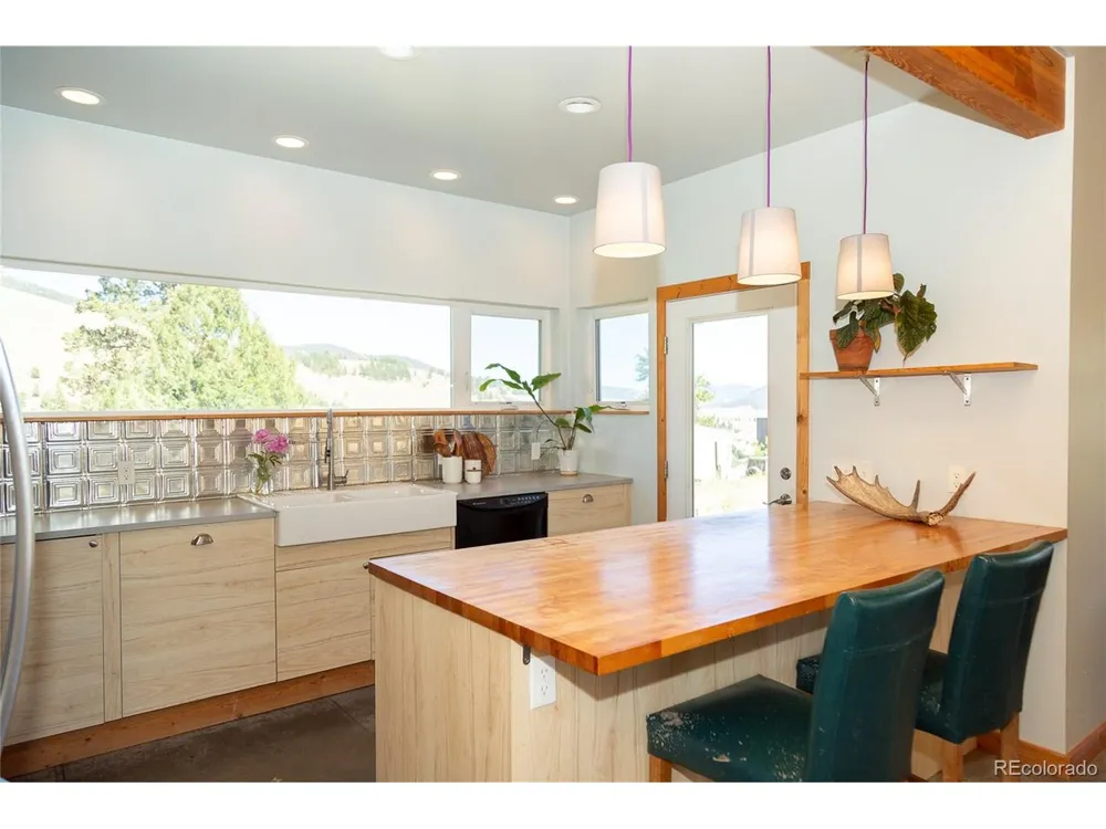 301 Rue La Fong Lane Creede, CO 81130