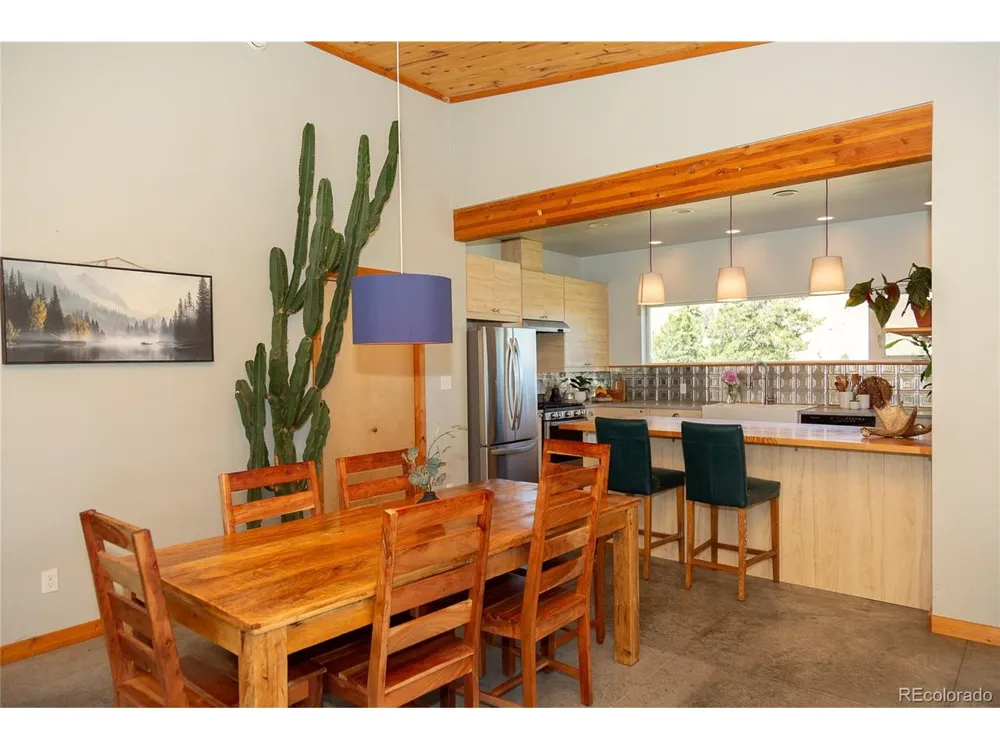 301 Rue La Fong Lane Creede, CO 81130