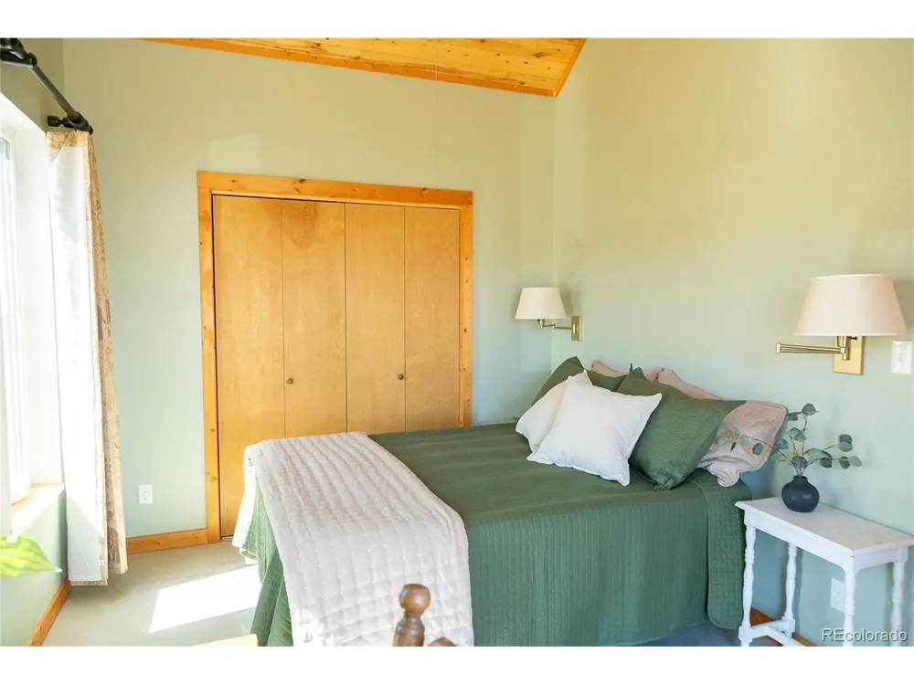 301 Rue La Fong Lane Creede, CO 81130