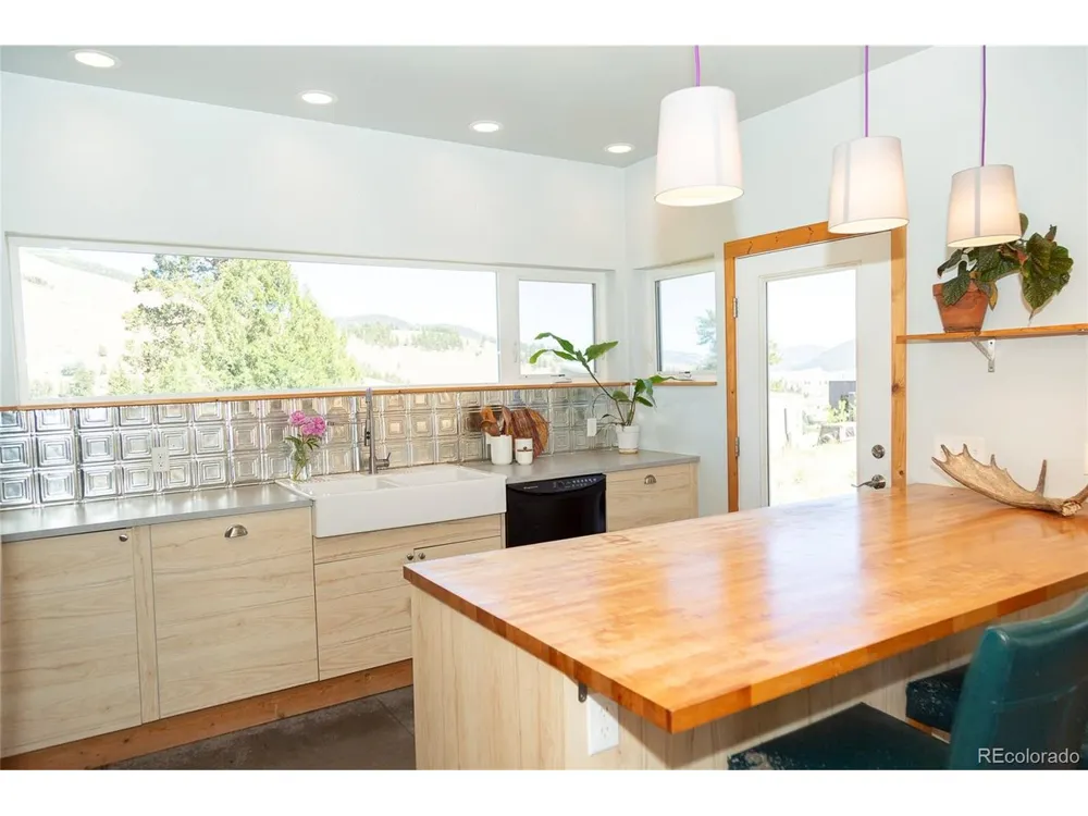 301 Rue La Fong Lane Creede, CO 81130