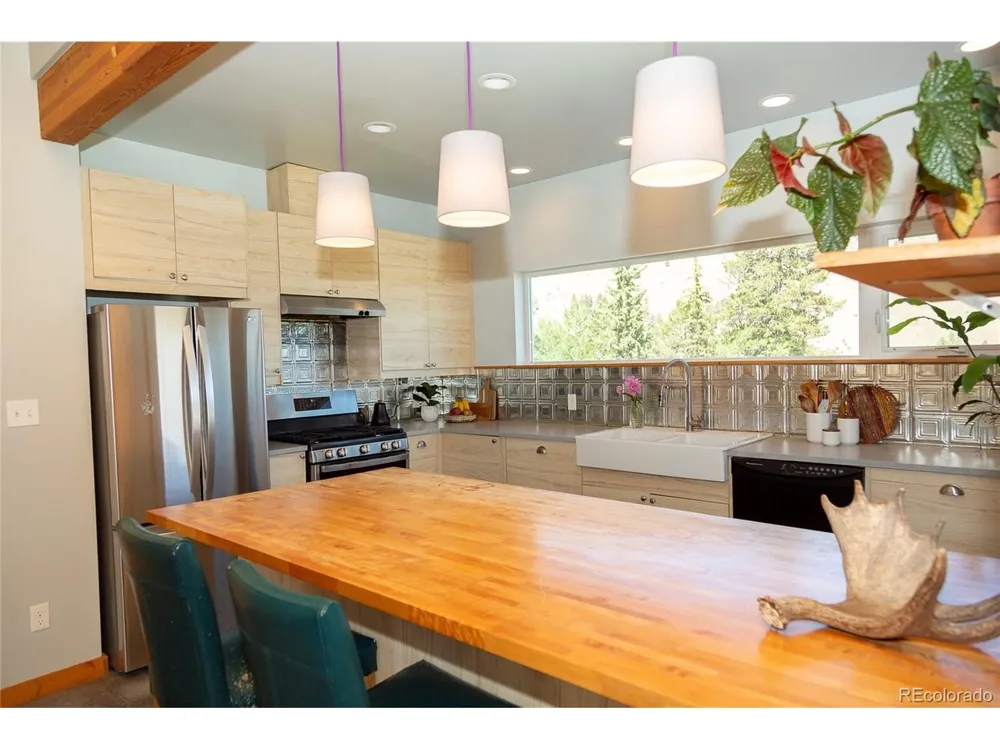 301 Rue La Fong Lane Creede, CO 81130