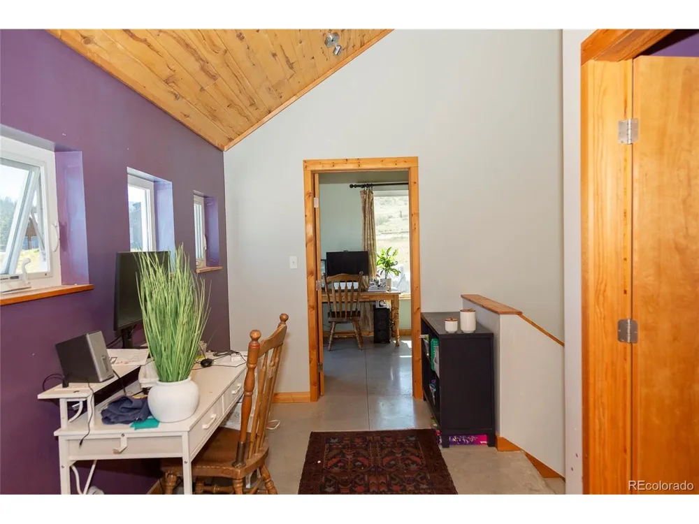 301 Rue La Fong Lane Creede, CO 81130