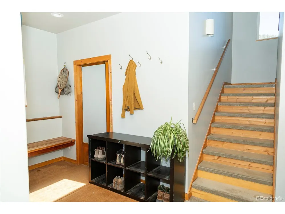 301 Rue La Fong Lane Creede, CO 81130