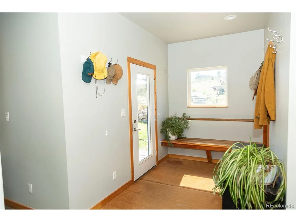 301 Rue La Fong Lane Creede, CO 81130