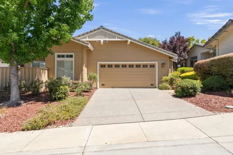 8626 American Oak Drive