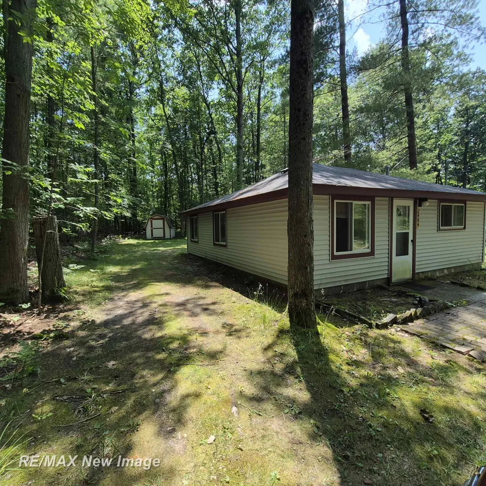 2484 Larry Drive Mills Township, MI 48756