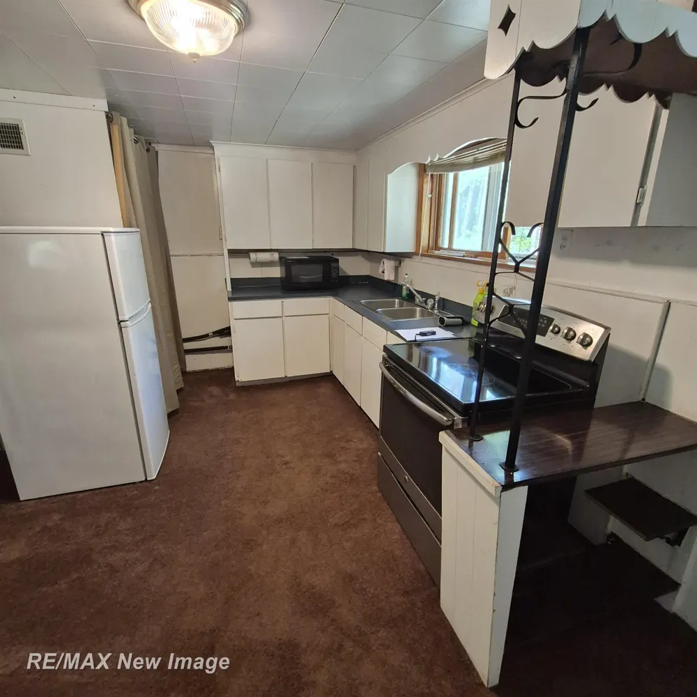 2484 Larry Drive Mills Township, MI 48756