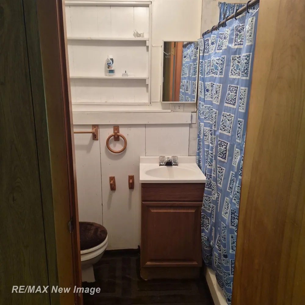 2484 Larry Drive Mills Township, MI 48756