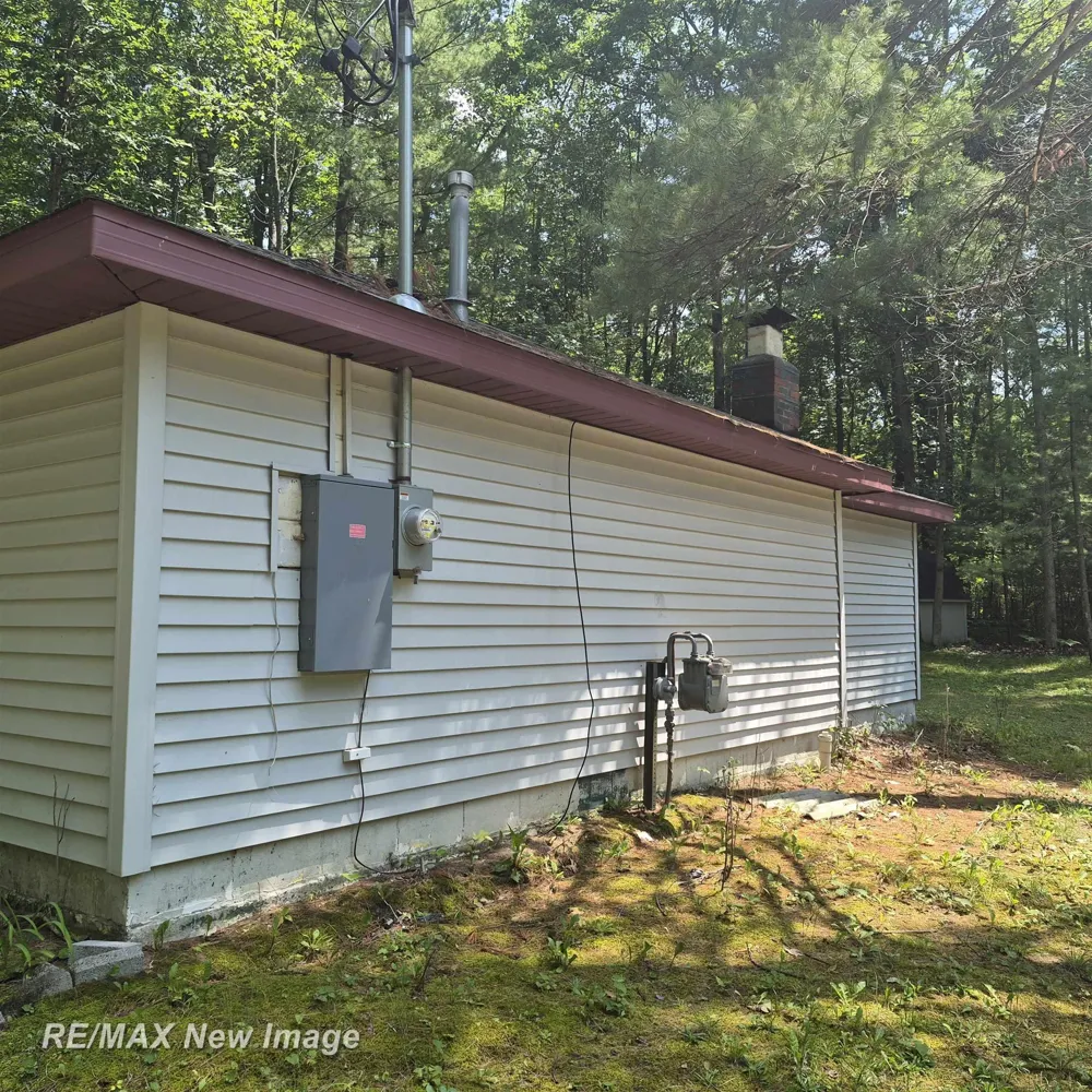 2484 Larry Drive Mills Township, MI 48756