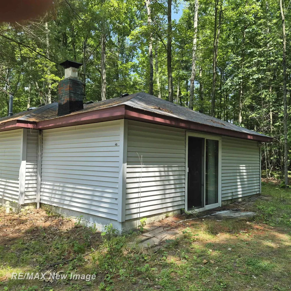 2484 Larry Drive Mills Township, MI 48756