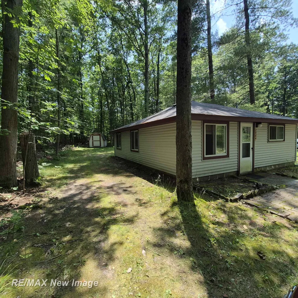 2484 Larry Drive Mills Township, MI 48756