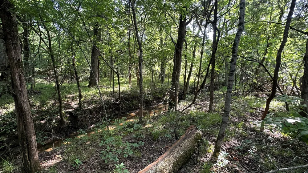E Farm Road 71 Dike, TX 75437