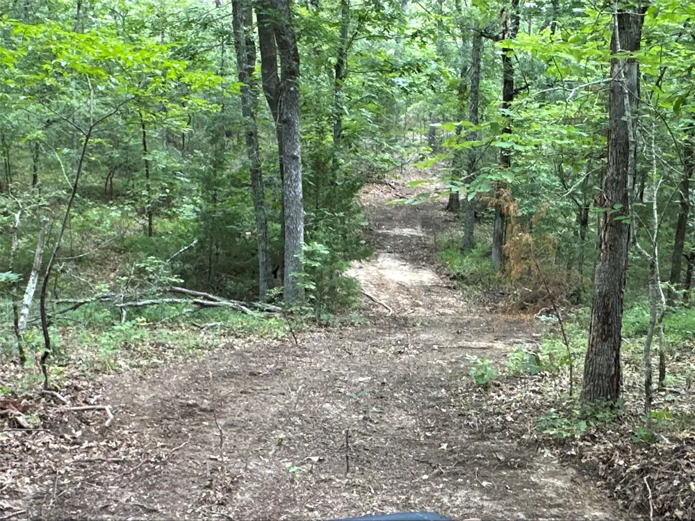 E Farm Road 71 Dike, TX 75437