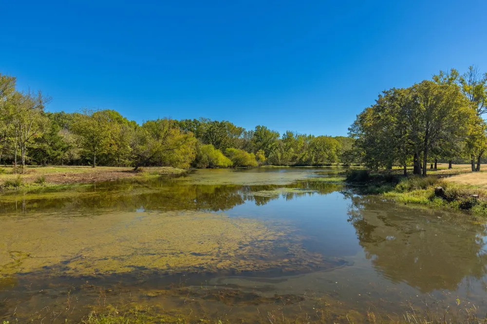 1004 County Road 4574 Sulphur Springs, TX 75482