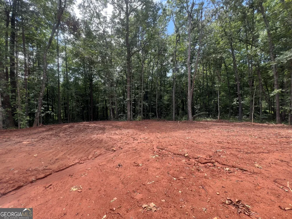 270 Stonington DR Mount Airy, GA 30563
