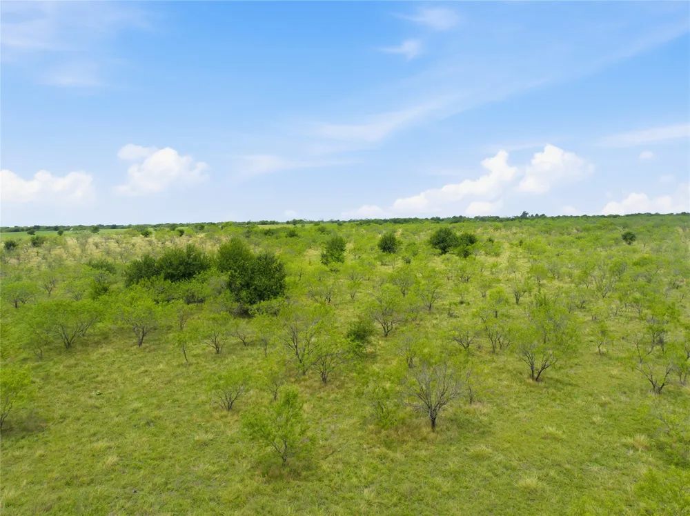 1594 Lcr 312 Mart, TX 76664